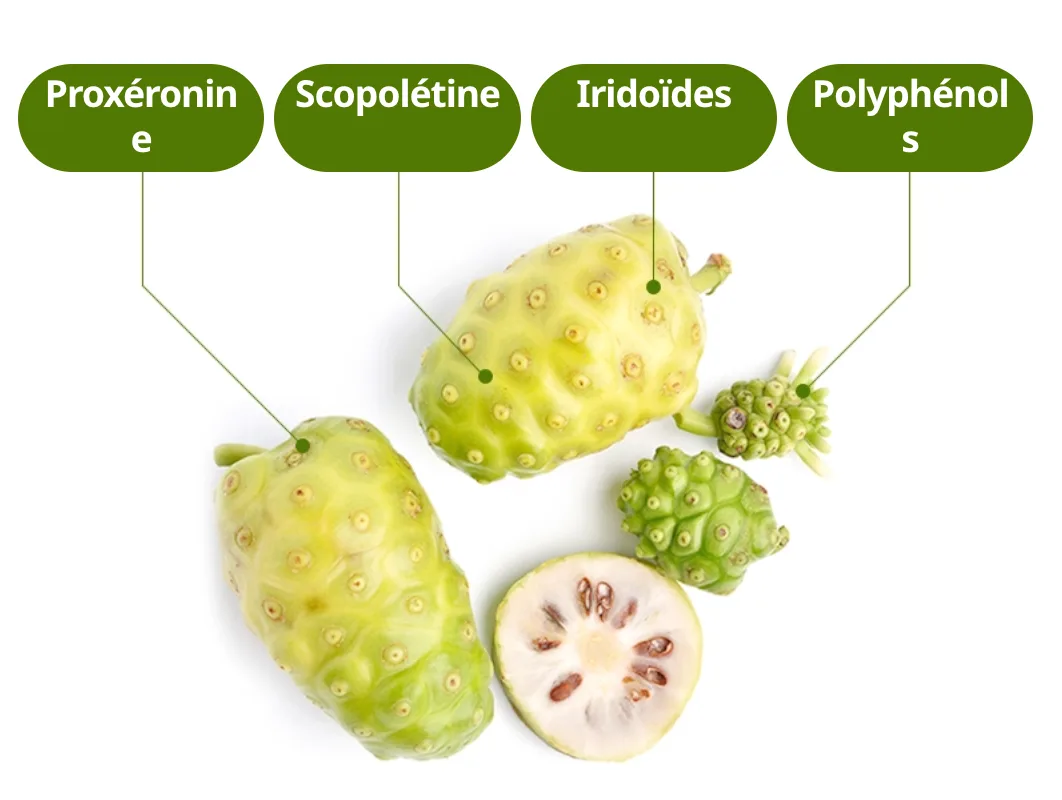 Atomy Fermented Noni Drink Pouch — photo 8
